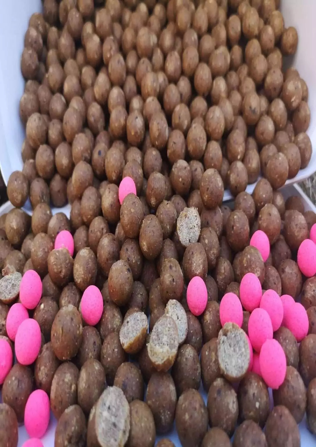 Bouillette Artisanale FRANÇAISE Carpe Baits