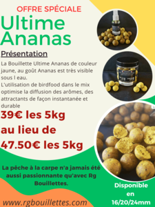 Promo ultime Ananas - www.rgbouillettes.com