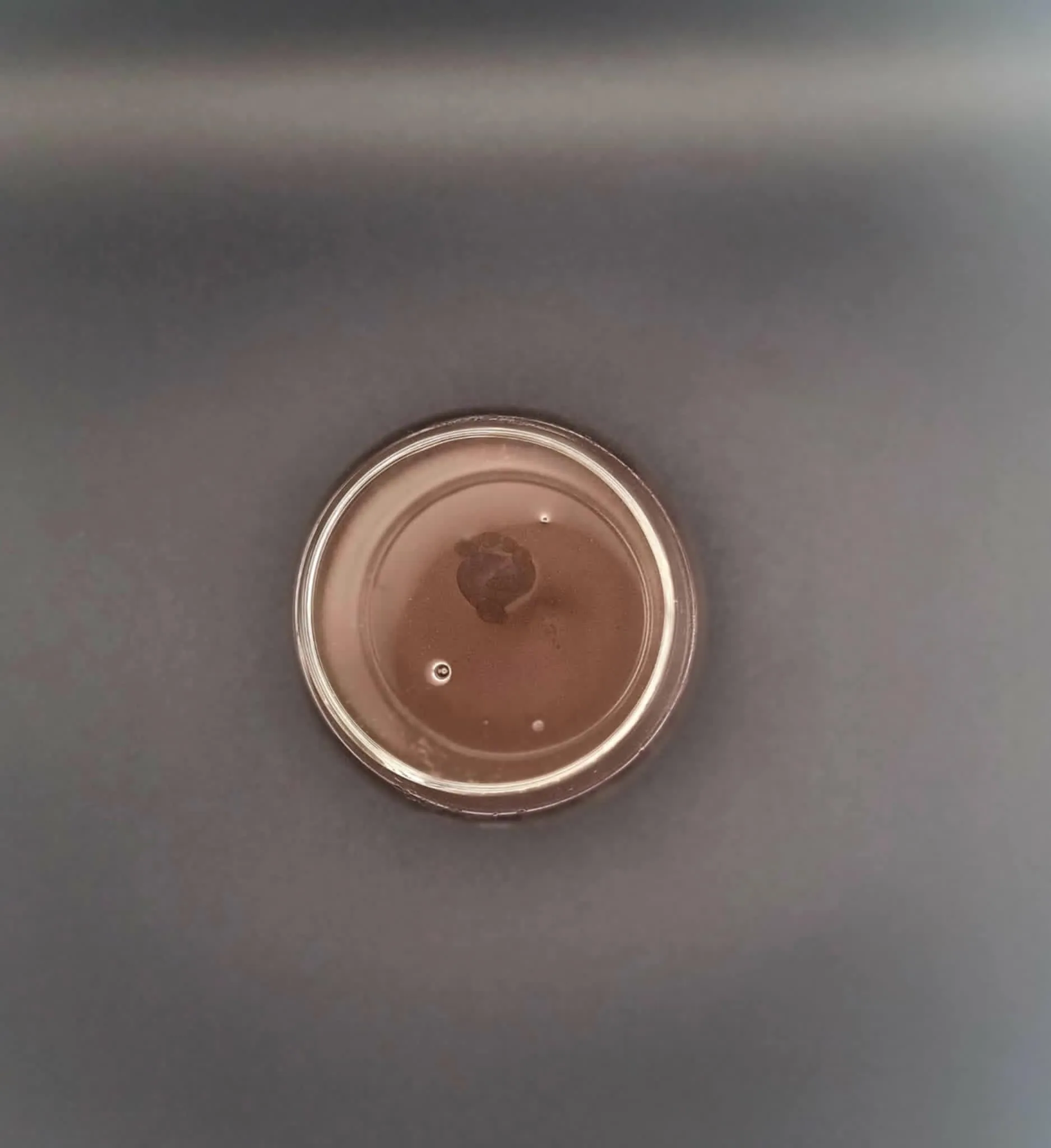 Hydrolysat de saumon liquide - ww.rgbouillettes.com