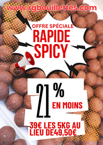 promotion rapide spicy-www.rgbouillettes.com
