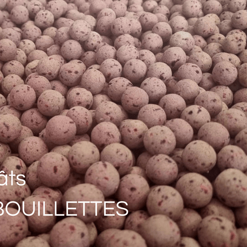 Appâts RG BOUILLETTES