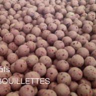 Appâts RG BOUILLETTES